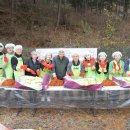 황칠사랑 이미지