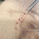 동빈한의원 이미지