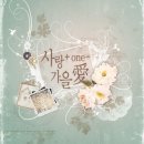가을愛 이미지