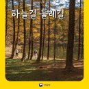 병점3로 1L(3->종점) | [명품숲길 50선] 하늘길 둘레길 완전정복! 영월 동강 품은 명품숲길의 진짜 매력