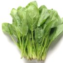 영해농장 이미지