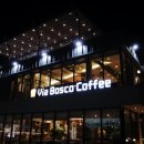 비아보스코 이미지