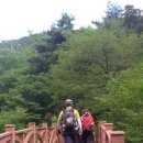 성대초등학교 이미지