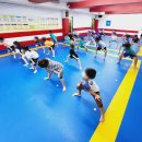 BEST태권도장 이미지