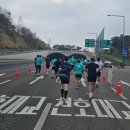 더53(the53) | 인생 두 번째 하프마라톤 후기(2026 The Race Seoul 21K)
