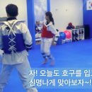 신명태권도장 이미지