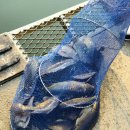 한계리낚시터 이미지