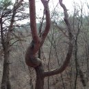 하늘재길 이미지