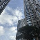 신반포자이 | 🏠 신반포 메이플자이 줄눈 시공 리얼후기