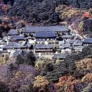 대도장 이미지