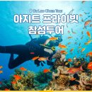 아지트 | 다낭 참섬 스노쿨링 투어 예약 업체 아지트 후기