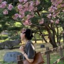 낙동강변로3-4 이미지