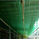 금강산민박 이미지