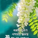 백산의료기 이미지