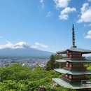 2698 | 도쿄 후지산 버스투어 일일 당일치기 근교 여행 추천