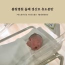 UR(경산시)-[남매로]-하-11 | 봄빛병원 경산모 둘째 자연분만 유도분만 성공후기