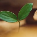 사랑한의원 이미지