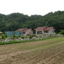 이종식농장 이미지