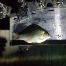 코코무인텔 이미지