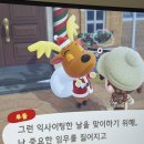 2010 | 이탈리아 가정식 코스요리 BENEBENE2010 후기