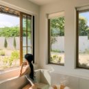 스테이 띠앗 이미지