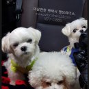 동울산 복권방 이미지