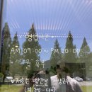 무정면사무소 | [아쥬레] 담양 카페 추천 메타세콰이어길이 아름다운 무정 카페