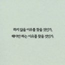 새솔점핑다이어트