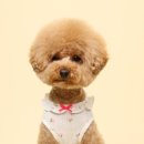 비커밍스튜디오 이미지