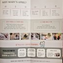신분당플라워 | 강남 하우스웨딩홀 추천 서울 스몰웨딩 메리스에이프럴 하객 후기