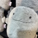 표선보건지소 | 갑작스럽게 떠난 겨울 제주여행 -1
