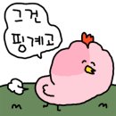 까사인제주