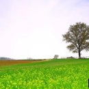 성경목장 이미지