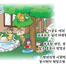 놀부광고디자인