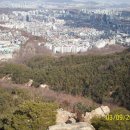 OK의원 Daum카페