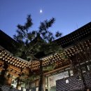 토종오리 더덕구이 | 남한산성 맛집 고구려 간장게장 한정식