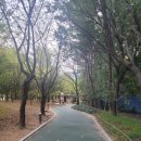 도원게이트볼장 이미지