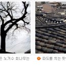 북촌약국 이미지