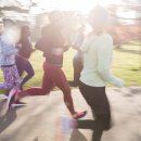 콕 코리아 이미지