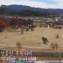 금성한우목장 네이버블로그