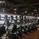 MM휘트니스 이미지