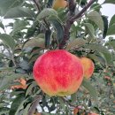 오복농장 이미지