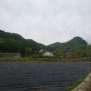 통나무밸리 이미지