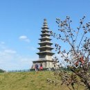 충주종합관광안내소 이미지