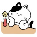 이편안안경콘택트 이미지