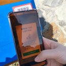 해파랑길펜션 | 경주 해파랑길11코스 걷기 난이도 쉬움