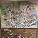 성안 벽화마을 조형 | 순천 매산등 성지순례길 투어프로그램 예약안내와 코스/매화가 지지않는 탐매마을③