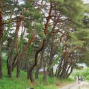 지리산 이미지