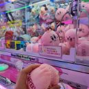 까치 뽑기방 이미지