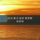 힐링제주 네이버블로그